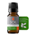 Essence of Creed Himalaya